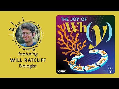 How Did Multicellular Life Evolve? | PODCAST: The Joy of Why