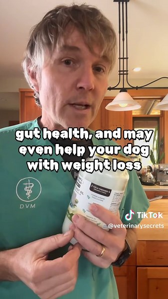 Homemade Anti-Inflammatory Paste for Dogs