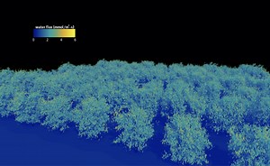 Plant Simulation Lab Home