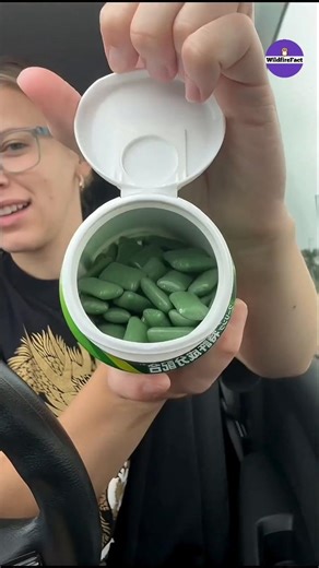 Why Is There A Notebook Inside Chewing Gum #shorts #ytshorts