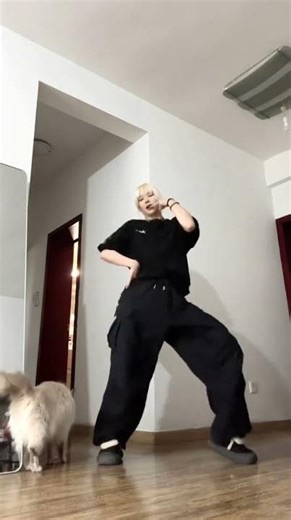 Pitbull Terrier / Die Antwoord #dance cover