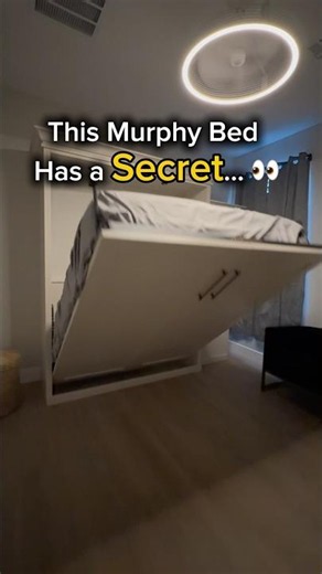 Hidden Murphy Bed You Need to See