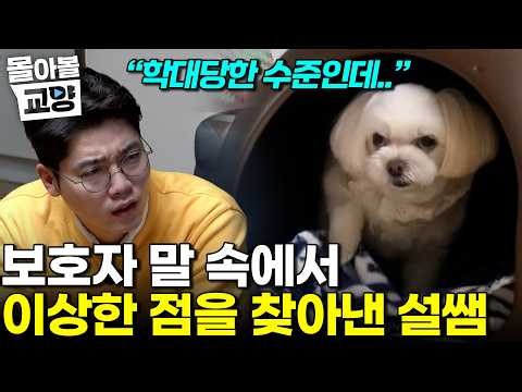 "Something is seriously wrong." They are telling me to leave the house because the dog I brought ...