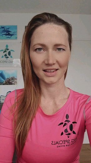 What is Diving Specials all about? Have you joined our deals website for scuba diving trips? @divingspecials 🔥 | Diving Specials