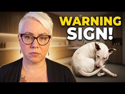 This Tail Chasing Dog Behavior Is Actually a Warning Sign!