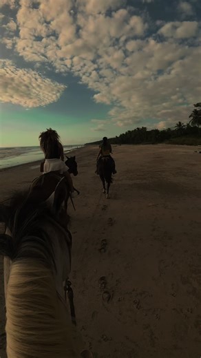 Explore Santa Teresa: Costa Rica's Horse Paradise