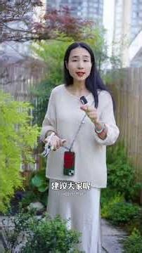 How to brew raw Pu-erh tea without bitterness or astringency 生普如何冲泡不苦涩