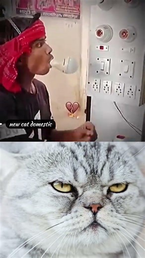 #relatable #reaction