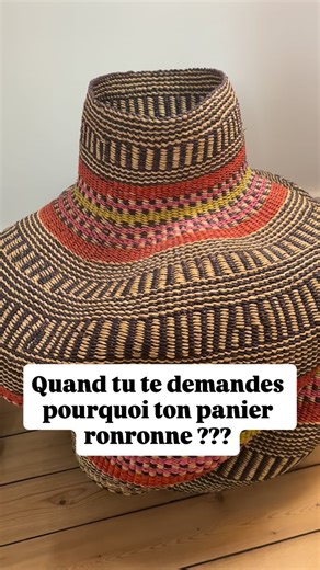 Stéphane Guillon on Reels