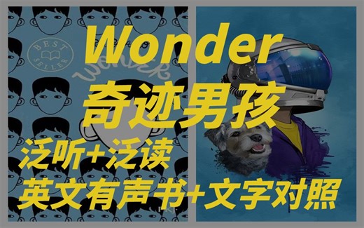 英文有声书 文字对照 在语境中记单词 《wonder》奇迹男孩Part1-1 简单词汇不怕读不懂原版 顺着语音语调理解走 大量可理解性输入 英文原版书