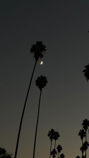 KELLY | option 1 or 2?💭 pink shirt @labeless shorts @aritzia sweater @lilysilk boots @drmartensofficial anistone hi dress - thrifted off the... | Instagram
