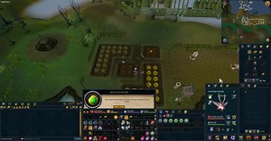 Since patches don't die anymore, the amulet of nature can turn any diseased farming patch into a tile specific teleport of your liking