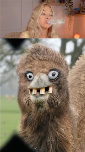 Try Not To Laugh Challenge 710