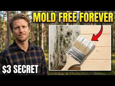 $3 Scandinavian Mold Treatment To NEVER Get Mold! Why Is It BANNED?