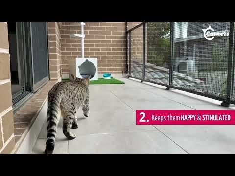 5 Reasons to build a Catio | Catnets