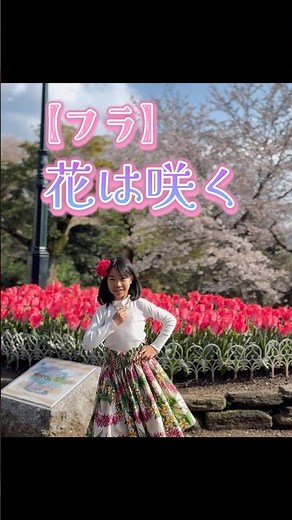 春の永源山〜花は咲く🌸🌷〜2026.04【フラ】モアナフラレア ケイキ フラ #フラダンス#キッズダンス#永源山公園#夢風車#short