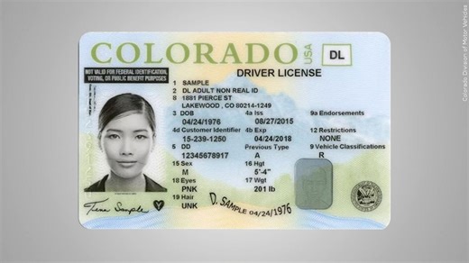 Colorado DMVs face temporary outage, unable to issue licenses, other identification