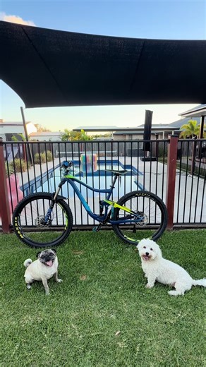 Maintain a Spotless Kitchen: Tips for Cleanliness