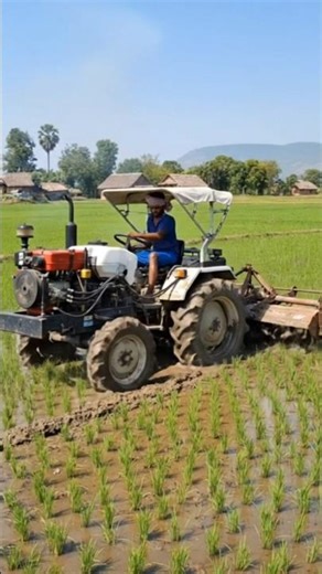 Advanced Agriculture: Tractor Working in Rice Field