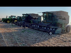 Peanut harvest 2020