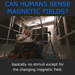 79K views · 1K reactions | Can Our Brains Sense These Invisible Fields? 樂 | Veritasium | Facebook