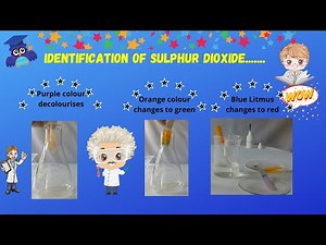 Sulphur dioxide gas - Preparation and Identification