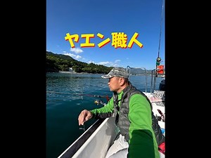春の大型アオリ（ヤエンで仕留めます）