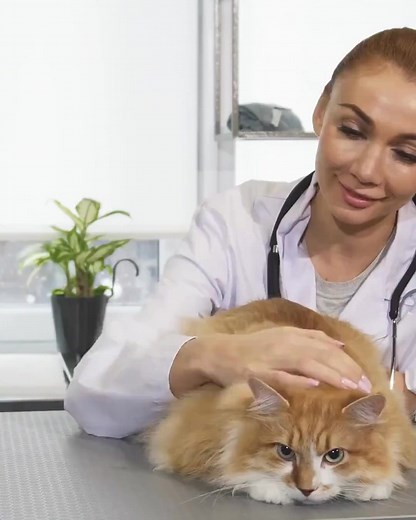 Your pet deserves healthcare as unique as they are. At Custom Care Compounding, we create customized medications tailored to your pet's specific needs—whether it's a special dose, a flavor they'll love, or a form that's easier to take. From dogs and cats to horses and exotic pets, our personalized veterinary solutions support their health and comfort every step of the way. Have you ever needed a custom solution for your pet? Share your story with us! | Custom Care Compounding