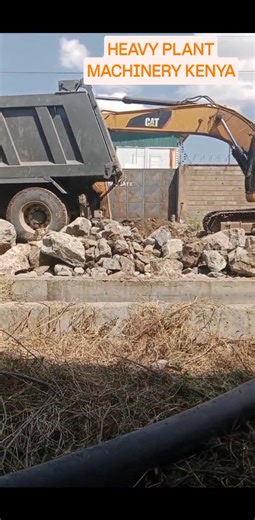 Comment True or False | Heavy Plant Machinery Kenya