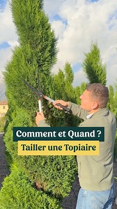 Comment entretenir et tailler une topiaire de cyprès en spirale ? ✂️🌿 Pour garder une belle forme nette et régulière, la taille se fait 2 à 3 fois par an, de préférence au printemps et en fin d’été, ou quand vous le souhaitez ! On suit simplement la forme déjà dessinée et on coupe les petites pousses qui dépassent. #cypres #topiaire #arttopiaire #tuto #diy #plantes #jardin #entretien | Thibault Pépinieriste