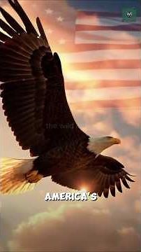 "Bald vs Golden Eagle"---Who Would Win? 🦅 #shorts