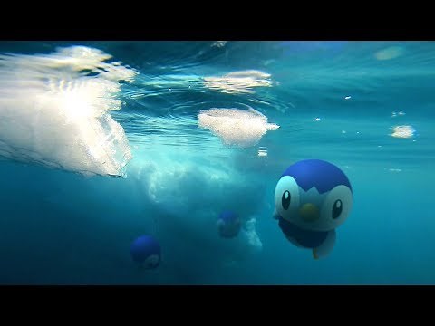 Open your eyes to an exciting new world in Pokémon GO!