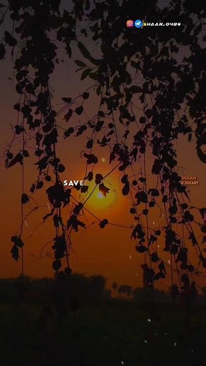 Savero Ka Mere Tu Suraj Lage Lyrics and Song Details