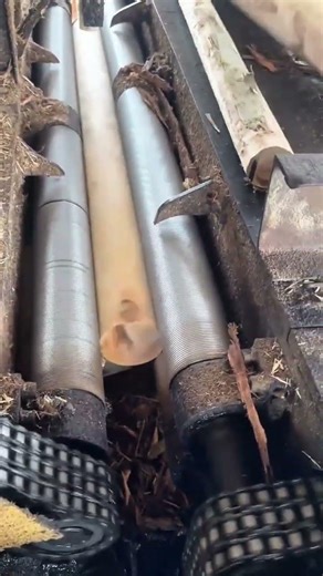 Peeling Tree Logs Fast with an Automatic Machine for High-Quality Wood Processing