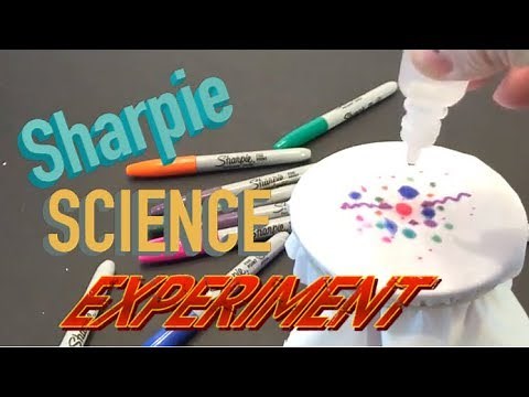 Sharpie Science Experiment with rubbing alcohol (Science for kids)