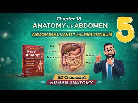 Chapter 18 | Abdominal Cavity & Peritoneum part 5 | Layers, Folds & Functions | Anatomy