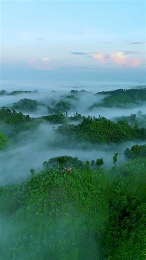 Mast view background jangle #trendingshorts #viralvideo #love #jiskeaanesemukammalhogayithizindagiso