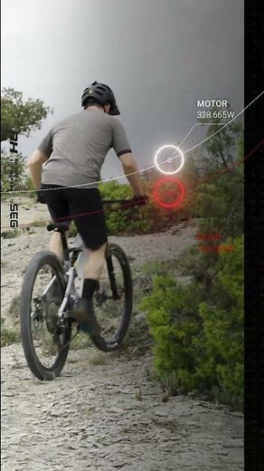 PROGRESSIVE AND NATURAL ASSISTANCE | BHZ System by Seg