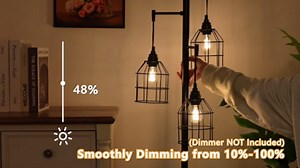 12-Pack Dimmable E26 LED Edison Bulbs 60 Watt Equivalent, 6W A15 2700K Warm White 600LM Vintage LED Light Bulbs for Ceiling Fan, Appliance, Filament Clear Refrigerator Light Bulbs