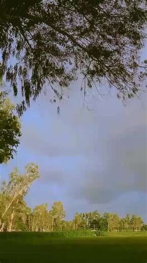 Rim Jim bisti (@rim.jim.bisti63)’s videos with original sound - AhMEd BoRsHa90