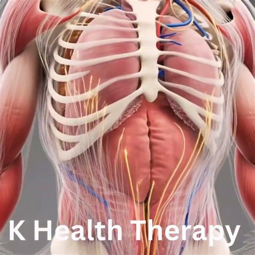 What is the fascia system?