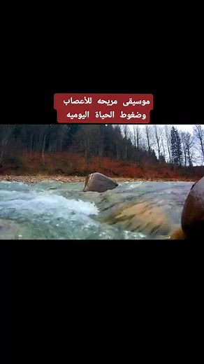 Serene Autumn Waterfall in a Forest Setting