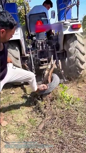 トラクターを使って木の切り株を引き抜く作業