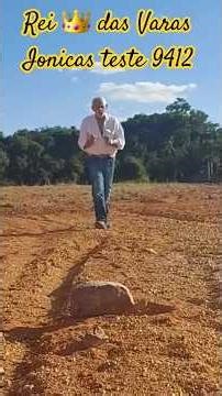 Rei 👑 das Varas Ionicas teste 9412