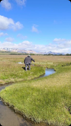 Fish Patagonia’s hidden gems 🌟 #springcreek #flyfishing #tinywaters #troutfishing | Chile Fly Fishing