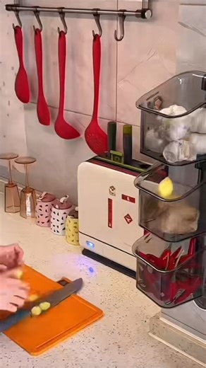 Essa Ever on Instagram: "🧲 Stick It. Store It. Love the Space! 🧲 Maximize your space with the Wall-Mounted Storage Organizer with Strong Suction Cups from Essa Ever – no drilling, no mess, just smart storage! ✨ 🏠 Why It’s a Must-Have: ✅ Strong suction cups – no tools needed ✅ Saves space & reduces clutter ✅ Perfect for kitchen, bathroom & laundry ✅ Easy to install, remove & reuse 🧼 Keep essentials within reach and your walls damage-free with Essa Ever! 📌 Smart storage for modern homes 📍 Av