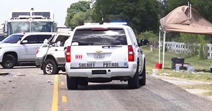 Venomous snakes on the loose after van crashes in Texas