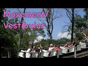 Sensory Processing Disorder and the 7 Senses