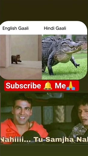 English Gaali = 😼 | Hindi Gaali = 🐊 Savage Level 100 #shorts #youtubeshorts #funny #viral #comedy