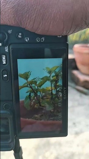 Sony 6400 portrait photo test 📸